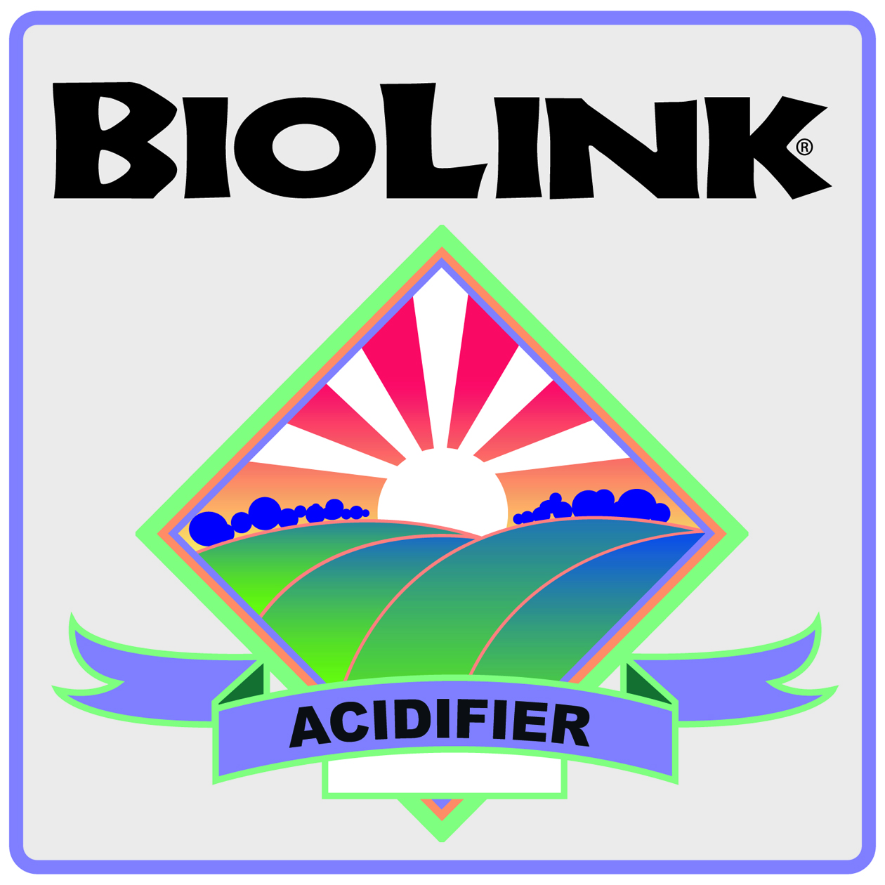 Biolink Acidifier  (2.5 Gal)