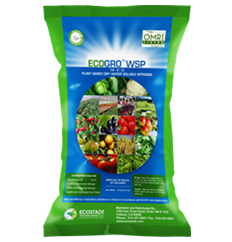 Eco Gro WSP  (6.25 Lb)