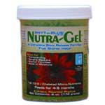 Baicor Phyto Plus Nutra Gel w/Iron