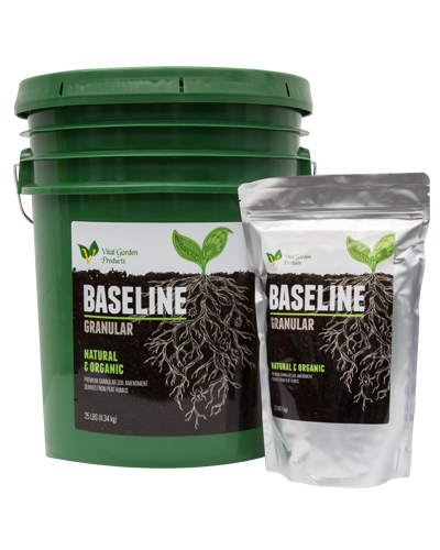 Baseline Granular