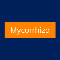 Mycorrhiza